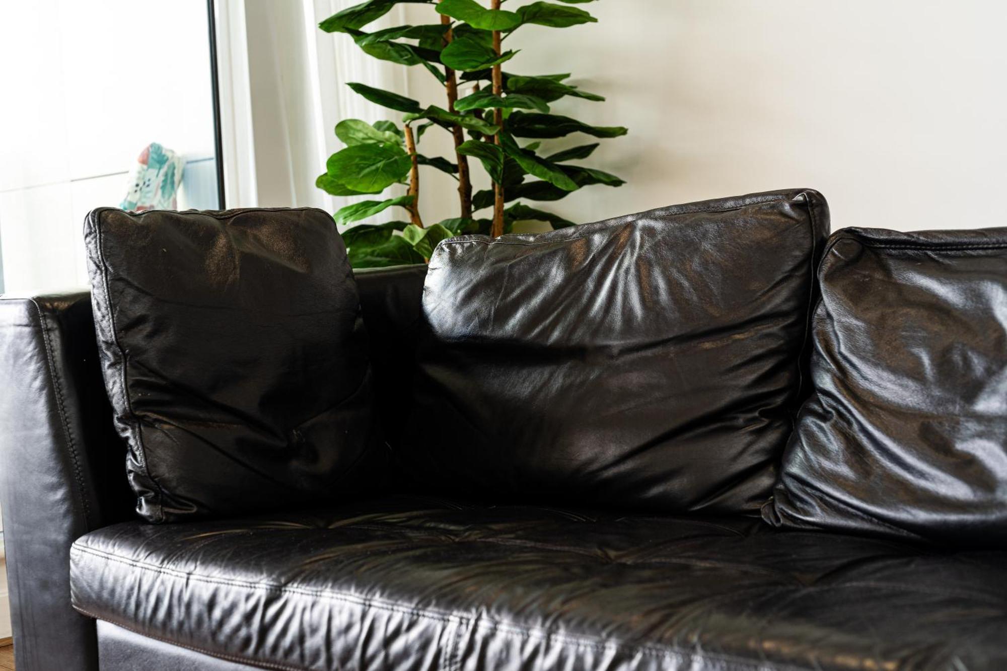 Excel London Majestic Apartment エクステリア 写真